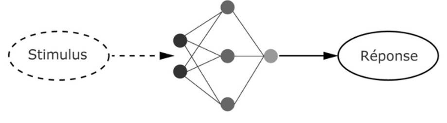 La cognition est un processus mental qui intervient entre le moment où le cerveau du joueur perçoit une information sensorielle (visuelle, auditive, kinesthésique) et le moment où il va apporter une réponse motrice.